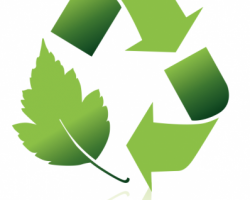 Executives See a Strategic Role for Sustainability