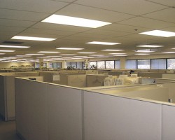 The Cubicle: A (Horrifying) History