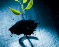 Investing for Financial Return and Social Impact: Can You Have it All?
