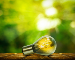 Small Innovations Power Big Business