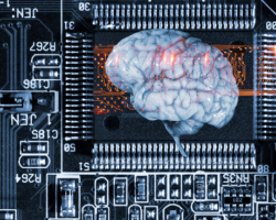 Investing in Artificial Intelligence: How Venture Capitalists Think
