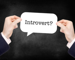 What Are the Best Jobs for Introverts?