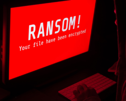 Ransomware: Where Does the Fault Lie?