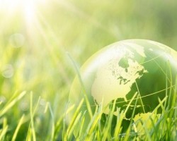What Socially Responsible Businesses Might Learn from Jessica Alba