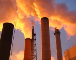Investors, Business Increase ‘Green Policy’ Focus