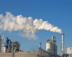 Can Collective Public Shame Drive Corporate Social Responsibility?