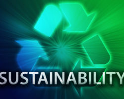 What Are the World’s Most Sustainable Companies?