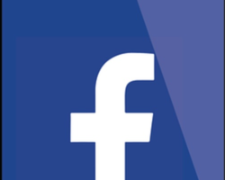 Social Media Channels: Their Role in Purchasing Decisions
