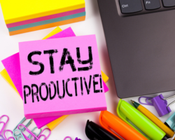 Productivity Strategies Differentiate Results Among Competitors