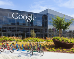 The Excellent Boss, Google-Style
