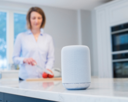 Voice-Assisted Devices and Marketing: What the Future Holds