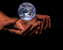 How Venture Capital and Technological Innovation Impact Climate Change